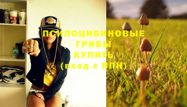 спиды Абдулино