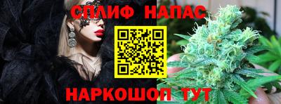 ECSTASY Славгород