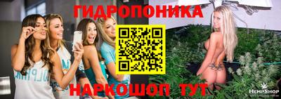 сатива Сланцы