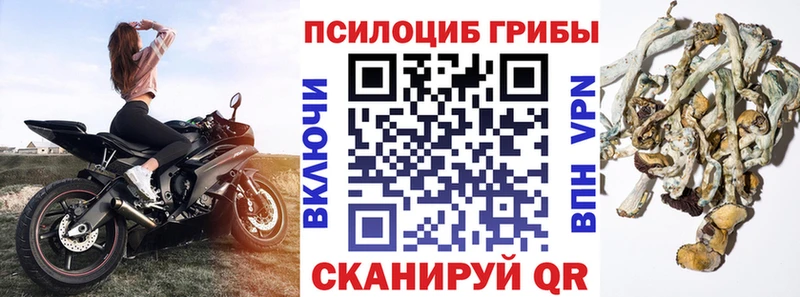 Галлюциногенные грибы GOLDEN TEACHER  Сальск 