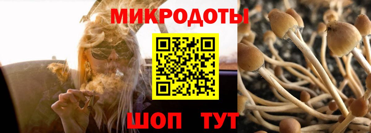 Галлюциногенные грибы прущие грибы Сальск